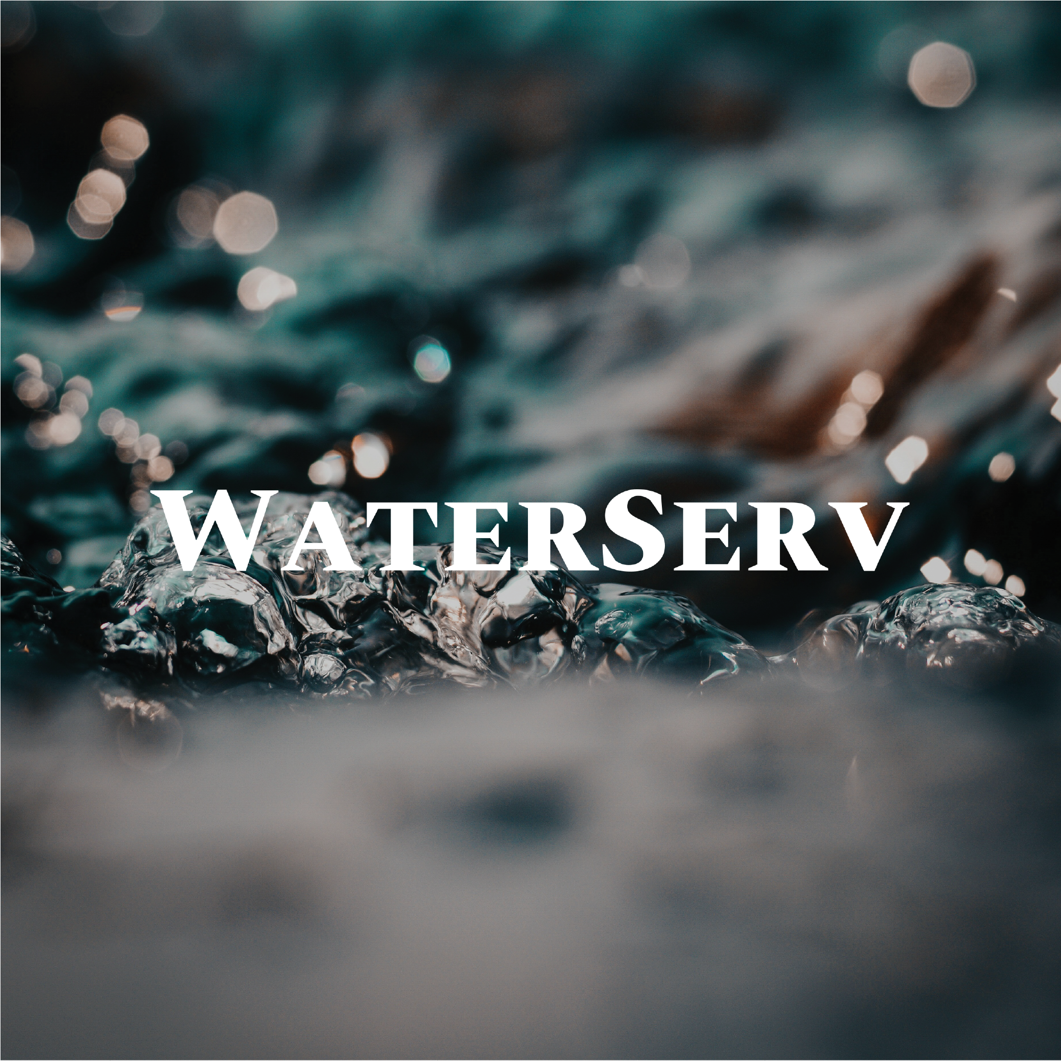 WATERSERV_Design WTX Web Design